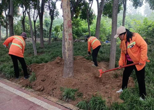 秋季移植添新綠，精細(xì)養(yǎng)護煥新顏 樹木種植指南