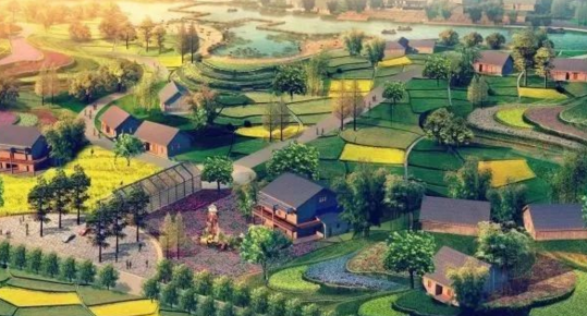 農業莊園不經過策劃,就搞規劃,結果會怎么樣呢?